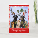 Search for doberman christmas cards Humour