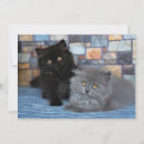 Search for blanket cards Cat