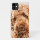 Search for goldendoodle iphone cases Puppy