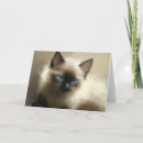 Search for siamese cat art cards Cute