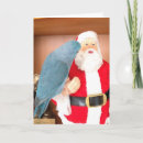 Search for parrot christmas cards Pet