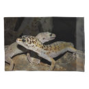 Search for lizard pillowcases Pet