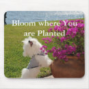 Search for where mousepads Photography