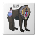 Search for chimpanzees tiles Primate