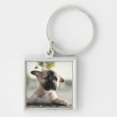 Search for shepherd puppy key rings Pet