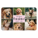 Search for pet collage Stylish