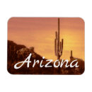 Search for arizona magnets Saguaro
