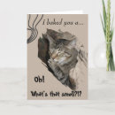 Search for silly cat birthday cards Cute