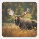 Search for moose stickers Nature
