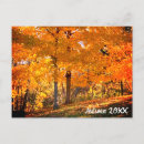 Search for foliage postcards Fall