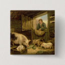 Search for farmyard badges Studies