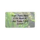 Search for sea life return address labels Aquatic