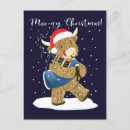 Search for scottish postcards Cow