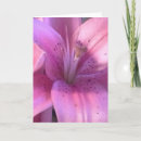 Search for purpose cards Flowers