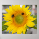 Search for bee sunflower art Nature