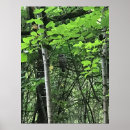 Search for owl poster art Grey