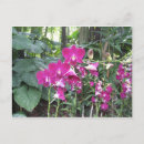 Search for singapore postcards Garden