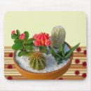 Search for cactus mousepads Plant