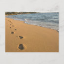 Search for kauai postcards Sunrise
