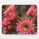 Search for cactus flower mousepads Succulents