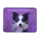 Search for border collie quote Cute
