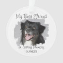 Search for pet memorials In loving memory
