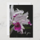 Search for cattleya cards Exotic