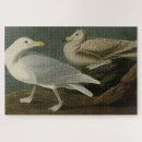 Search for gull puzzles Bird