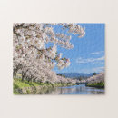 Search for japanese cherry blossoms puzzles Sakura
