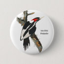 Search for bill badges Birder