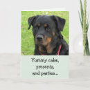 Search for yummy cards Dog