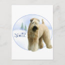 Search for wheaten terrier christmas cards Soft