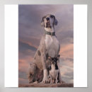 Search for dogg Dogs