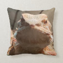 Search for lizard cushions Cool