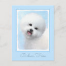 Search for bichon frise postcards Cute