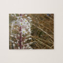 Search for wildflower puzzles Garden