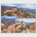 Search for canyon wrapping paper Desert