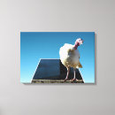 Search for turkey canvas prints Bird