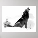 Search for timber posters Nature