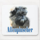 Search for affenpinscher electronics Dog