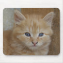 Search for red head mousepads Ginger
