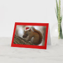 Search for nut with squirrel cards Santa