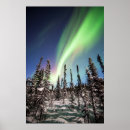 Search for northern lights posters Forest