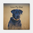 Search for black lab magnets Dogs