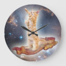 Search for lolcat Lol cats