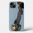 Search for floating cases Animal