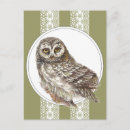 Search for cute owl postcards Wildlife