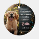 Search for pet memorial christmas tree decorations Tribute