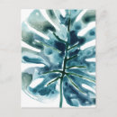 Search for frond postcards Greenery