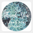 Search for aloe stickers Plant